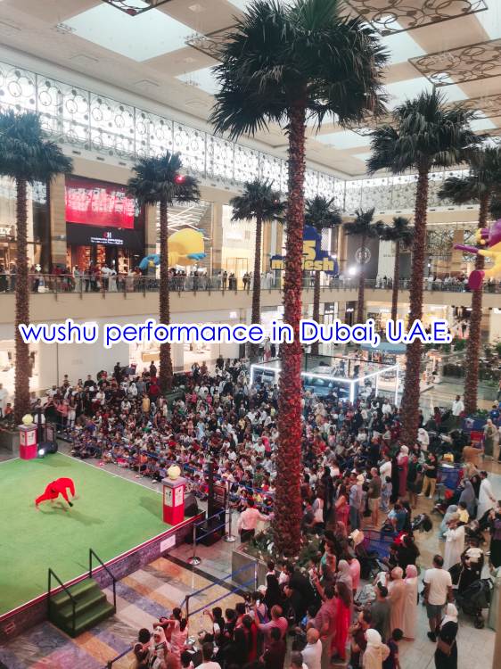 wushu performance in Dubai, U.A.E..jpg