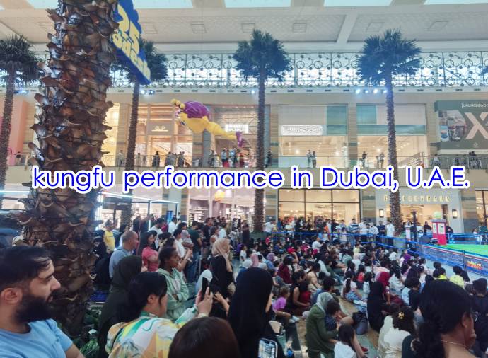 kungfu performance in Dubai, U.A.E..jpg