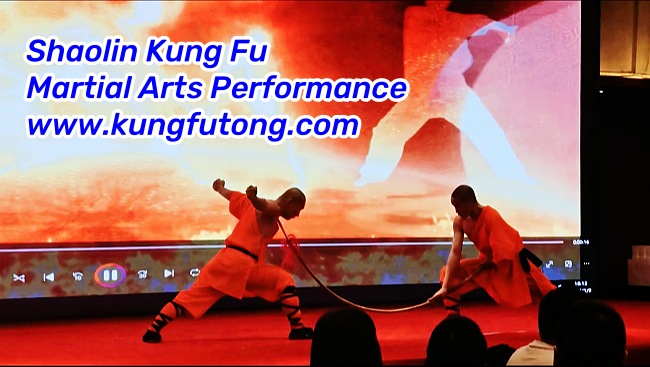 Global Shaolin Martial Arts Performance 2024 in Zhengzhou, China Shaolin Kung Fu Martial Arts Performance.jpg