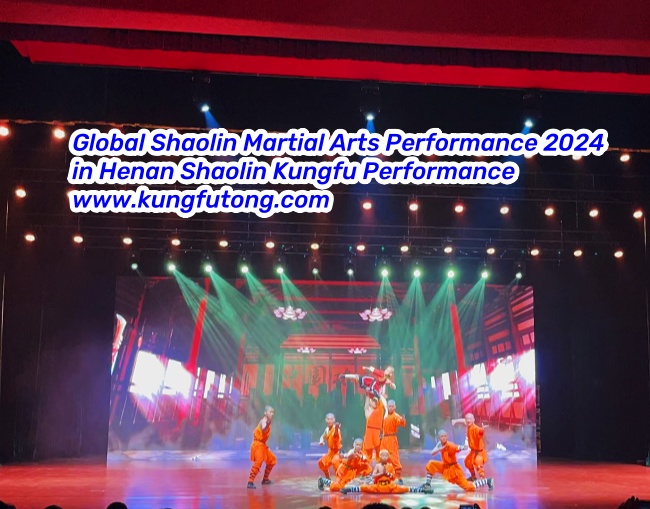 Shaolin Martial Arts Performance.jpg