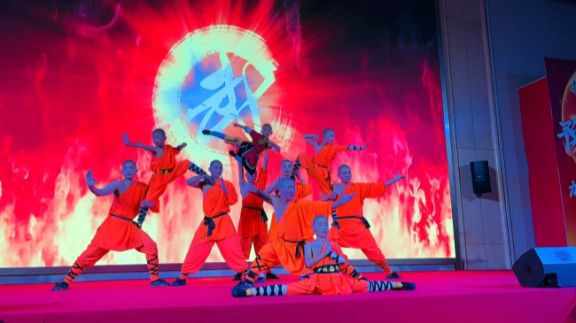 Shaolin Kung Fu Performance.jpg